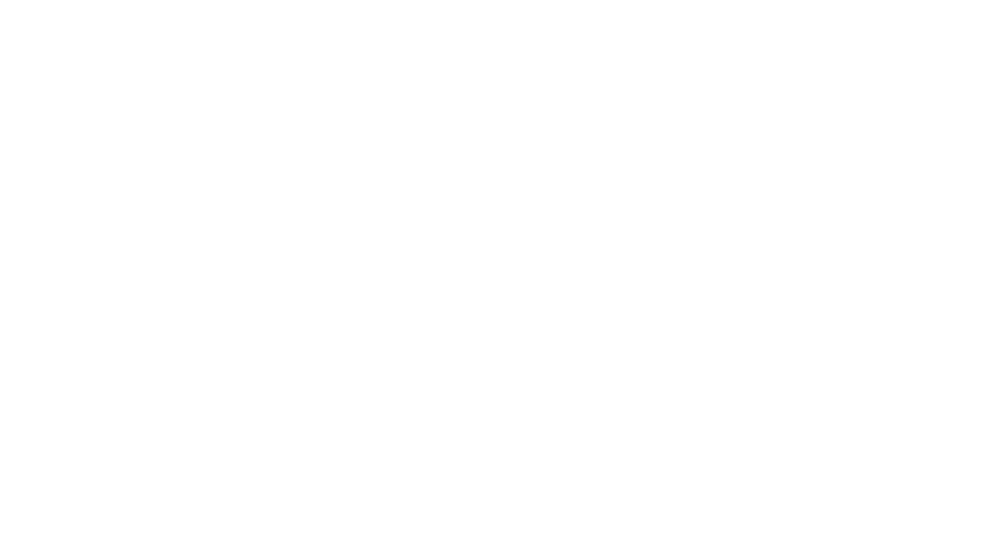 Accor Hotels (1)